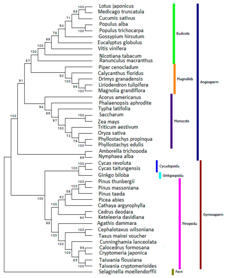 Figure 6