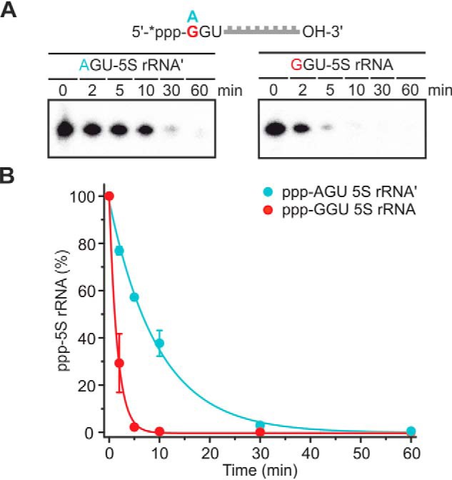 Figure 7.