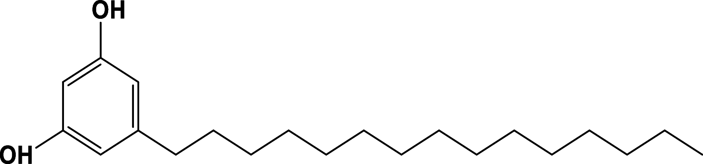 graphic file with name 13659_2025_545_Figb_HTML.gif