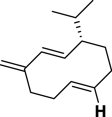 graphic file with name 13659_2025_545_Figar_HTML.gif