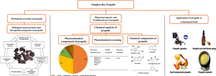 graphic file with name 13659_2025_545_Figa_HTML.jpg