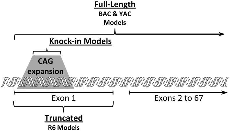 FIG. 7.