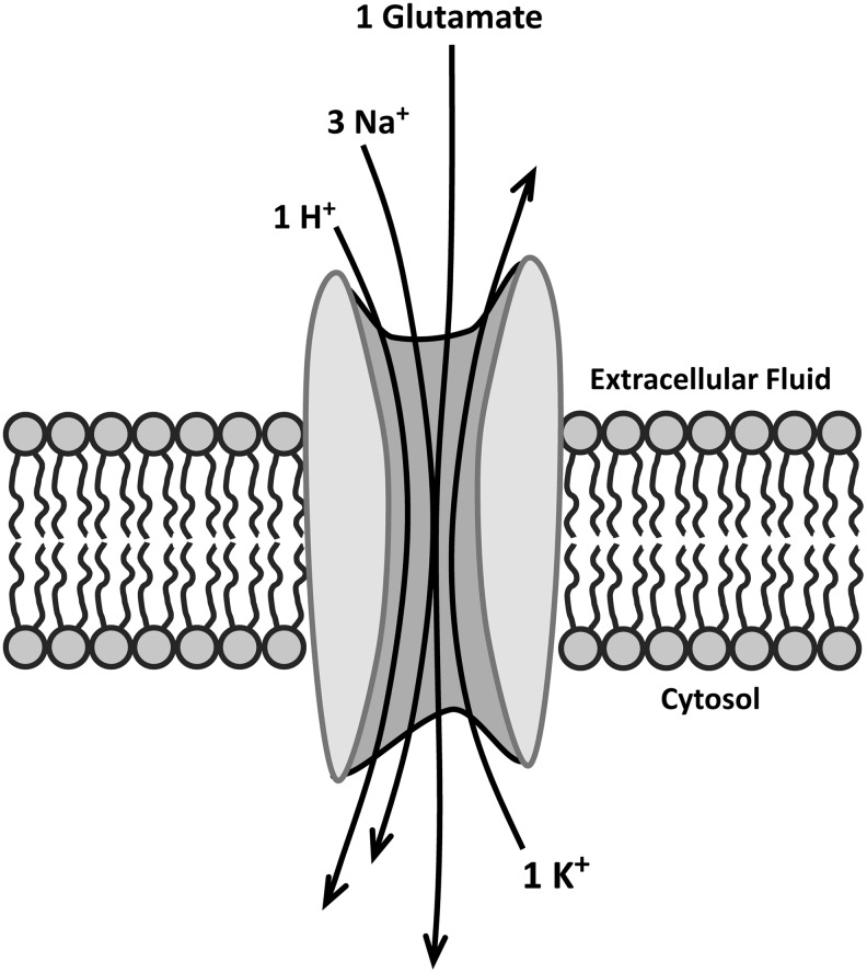 FIG. 5.