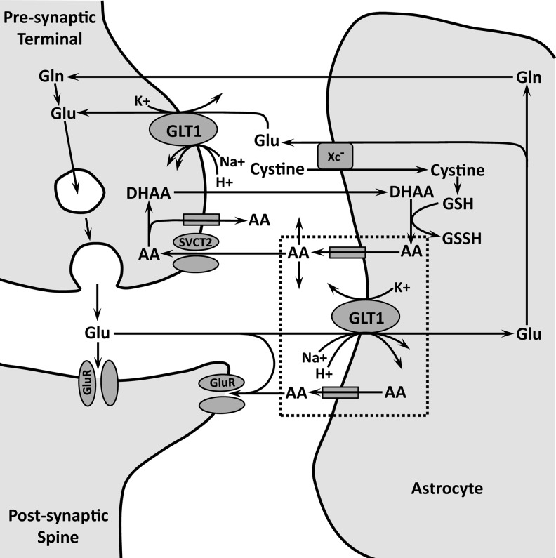 FIG. 6.