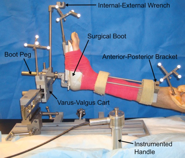 Fig. 1