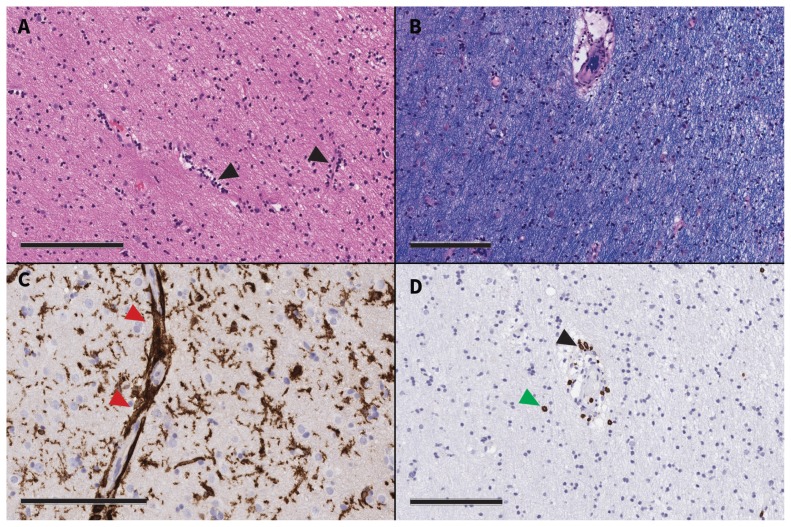 Figure 2: