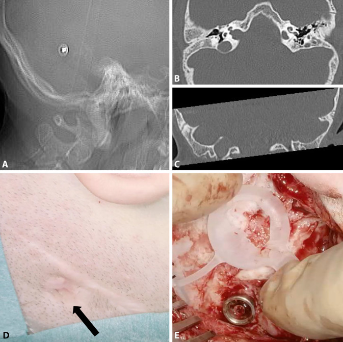 Fig. 8