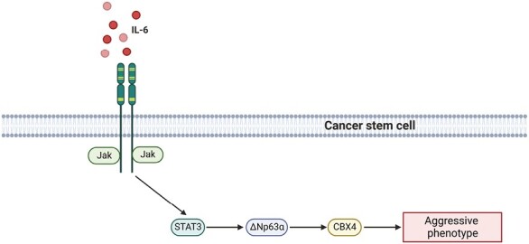 Graphical Abstract