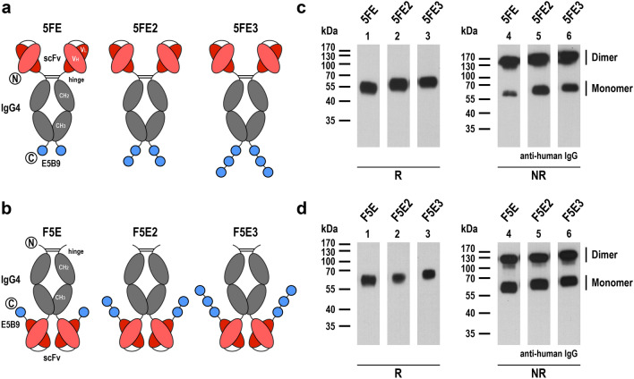 Fig. 2