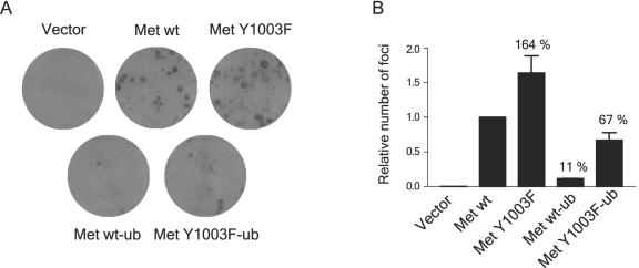 FIG. 9.