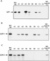FIG. 4.