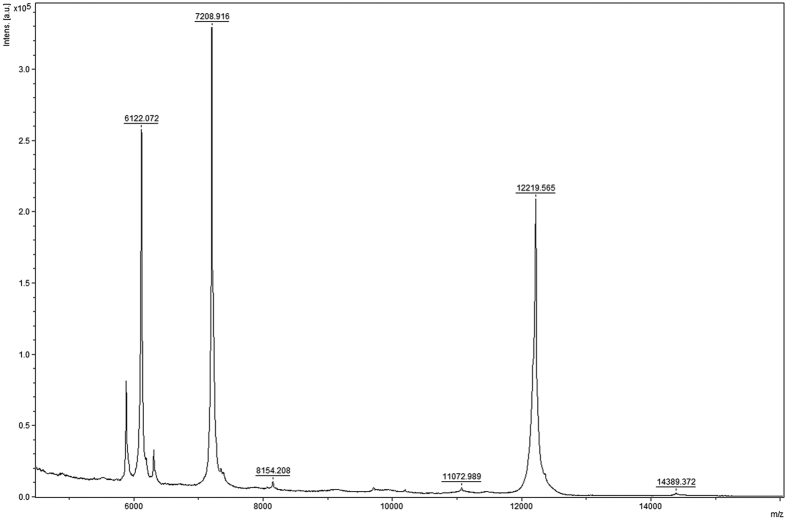 Figure 11