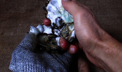 Photograph of hands holding a freshly shucked oyster.