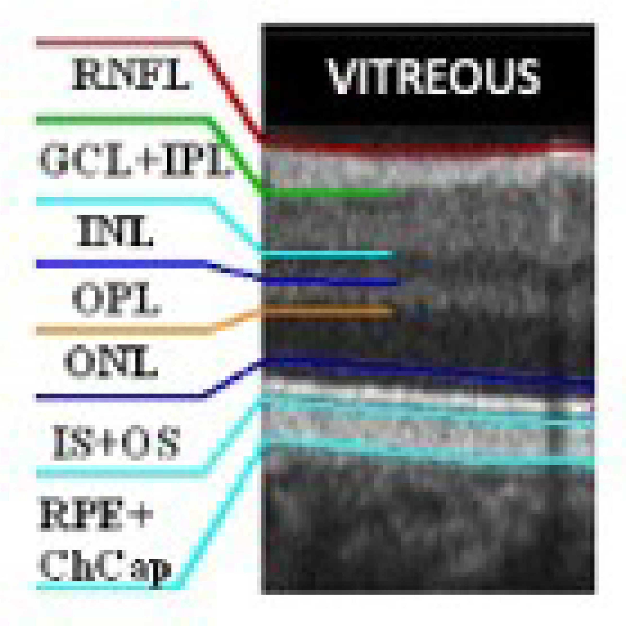 Figure 4: