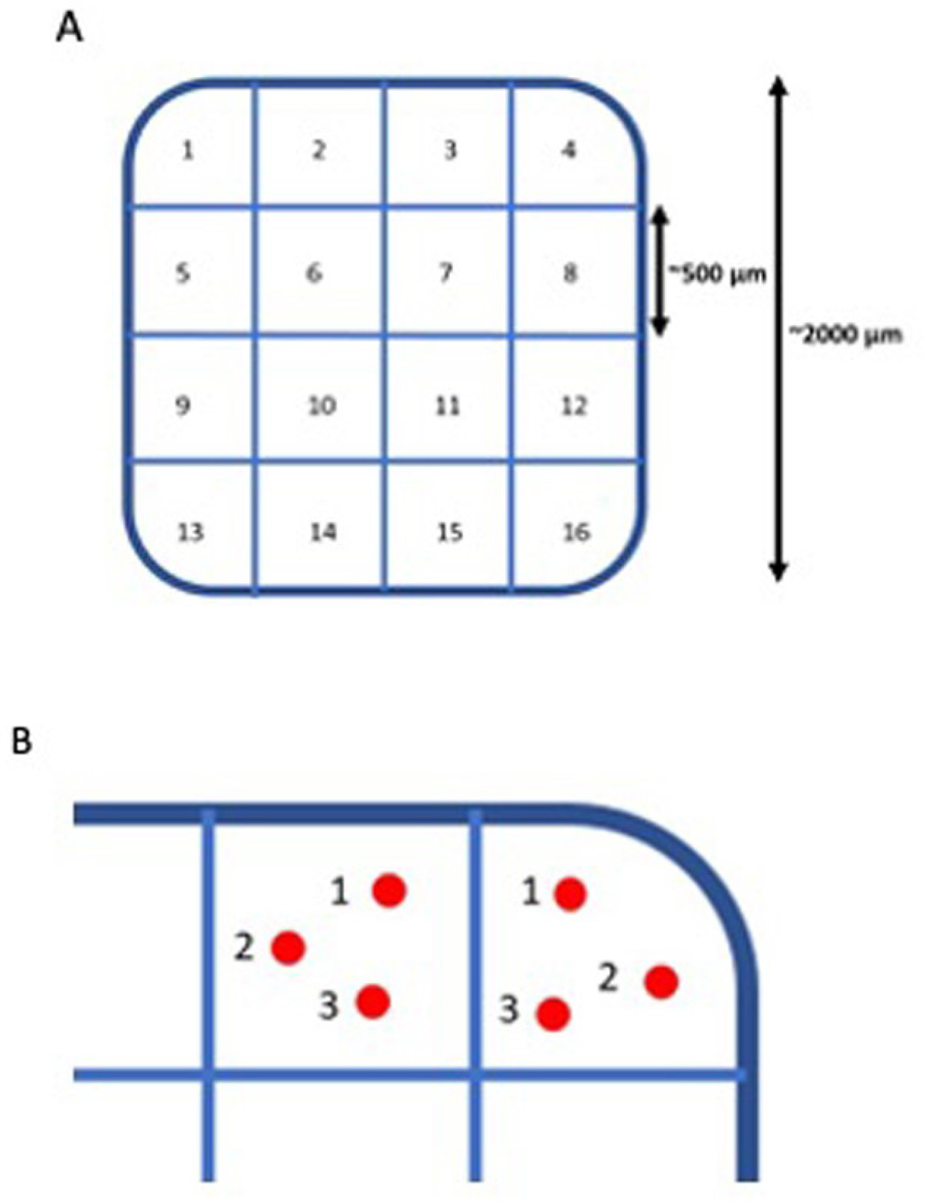 Figure 3: