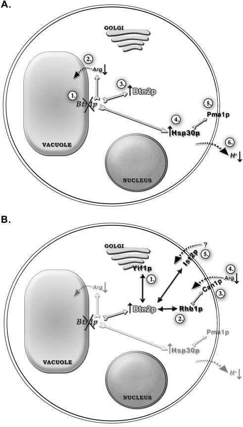 FIG. 6.