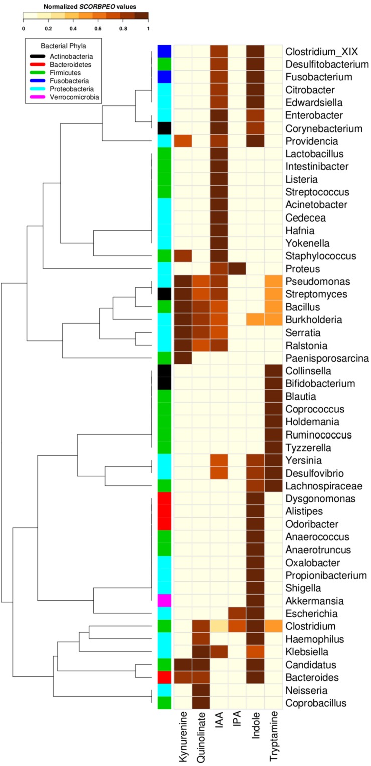 FIGURE 4