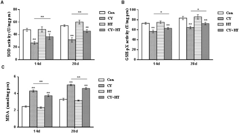 Figure 6: