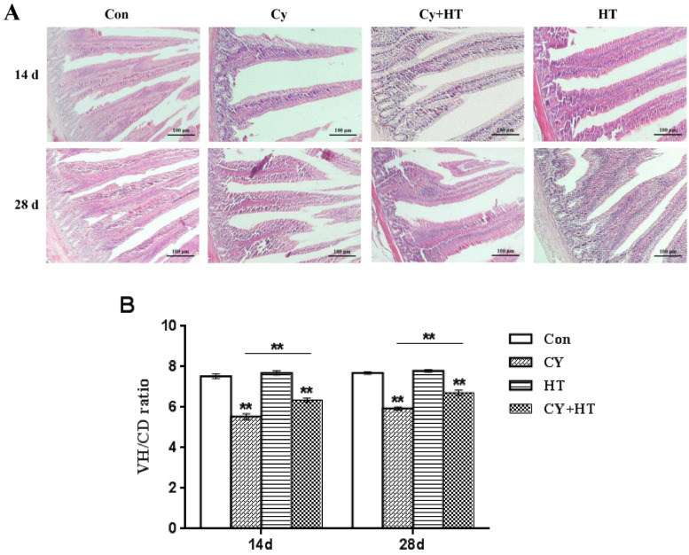 Figure 2: