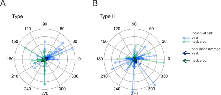 Figure 3—figure supplement 1.