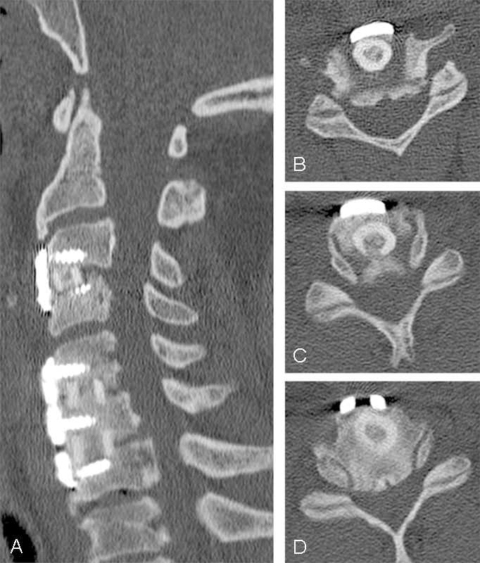 Fig. 5