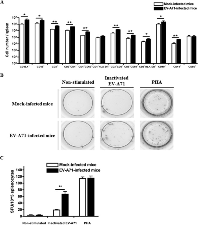 FIG 6