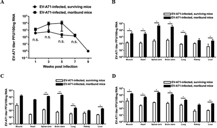 FIG 3