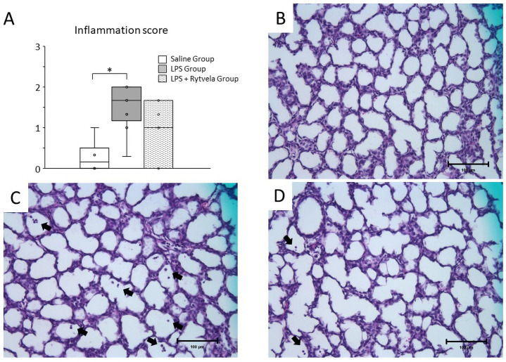 Fig 6