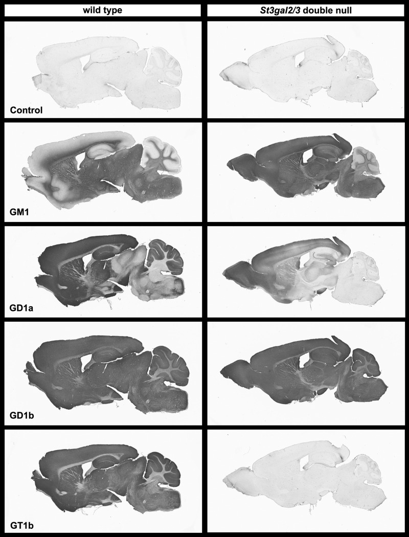 Fig. 10.