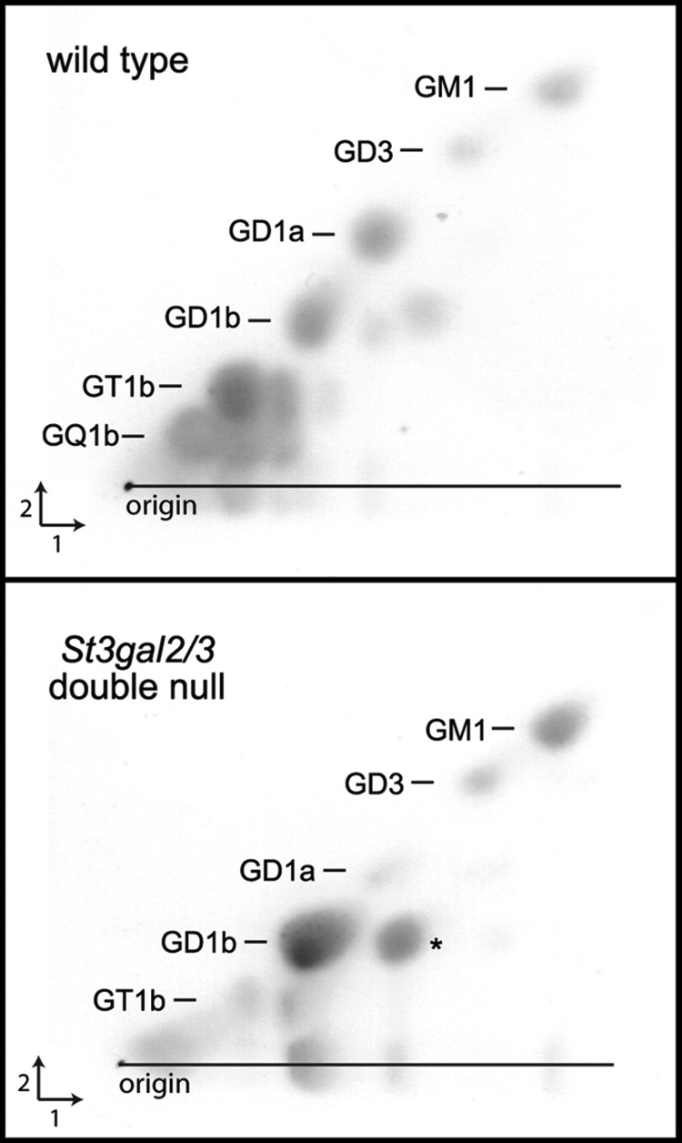 Fig. 6.