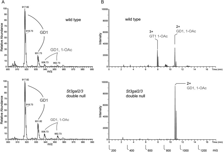 Fig. 7.