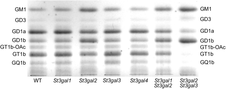 Fig. 2.