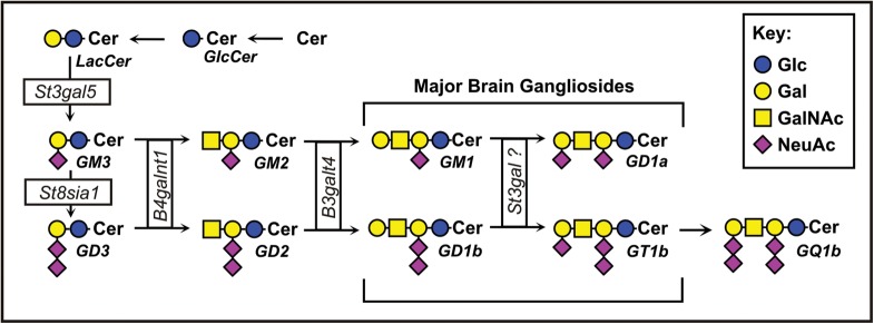 Fig. 1.