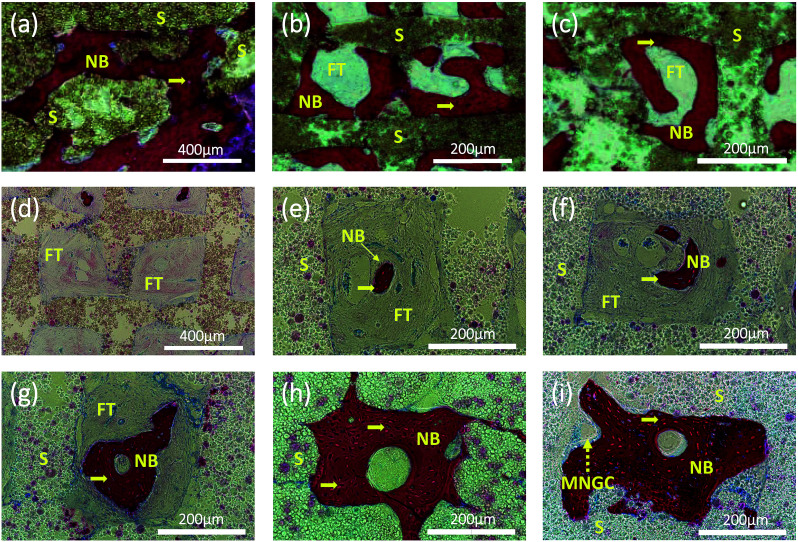 Fig. 7