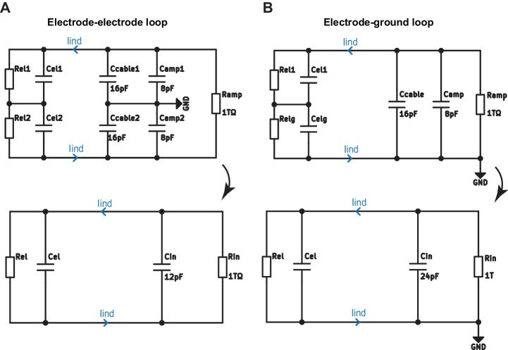 Figure 5—figure supplement 2.