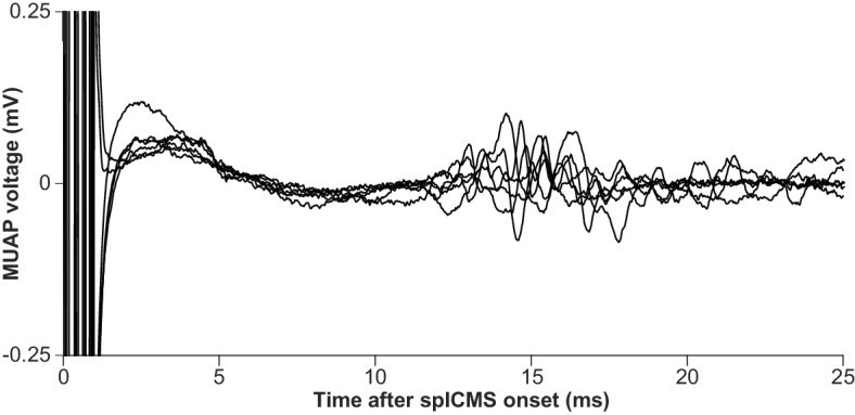 Figure 7—figure supplement 2.