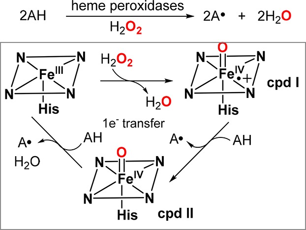 Scheme 12