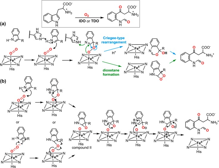 Figure 57