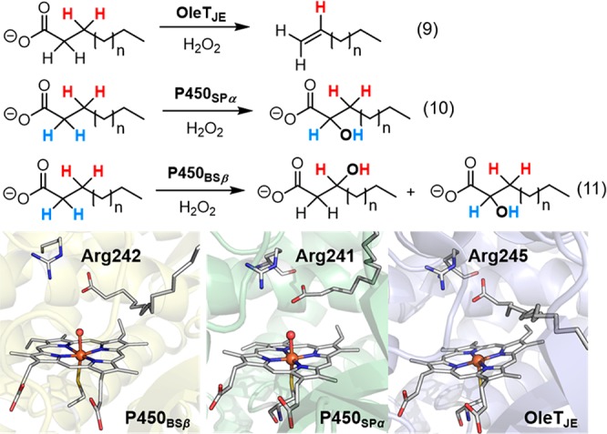 Figure 38