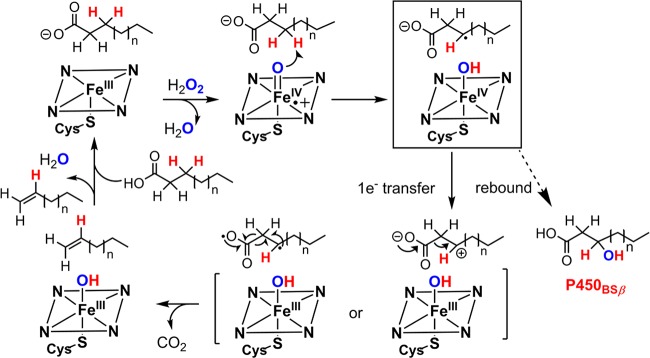 Figure 39