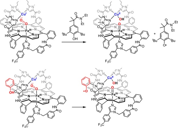 Figure 62