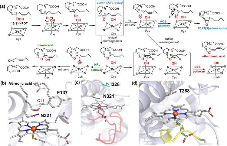 Figure 55