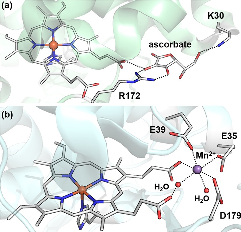 Figure 53