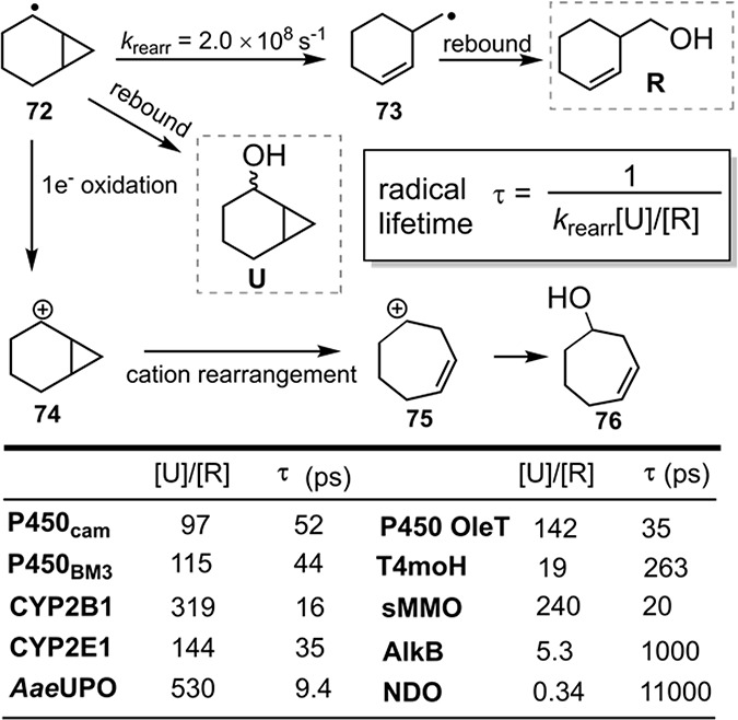 Scheme 5