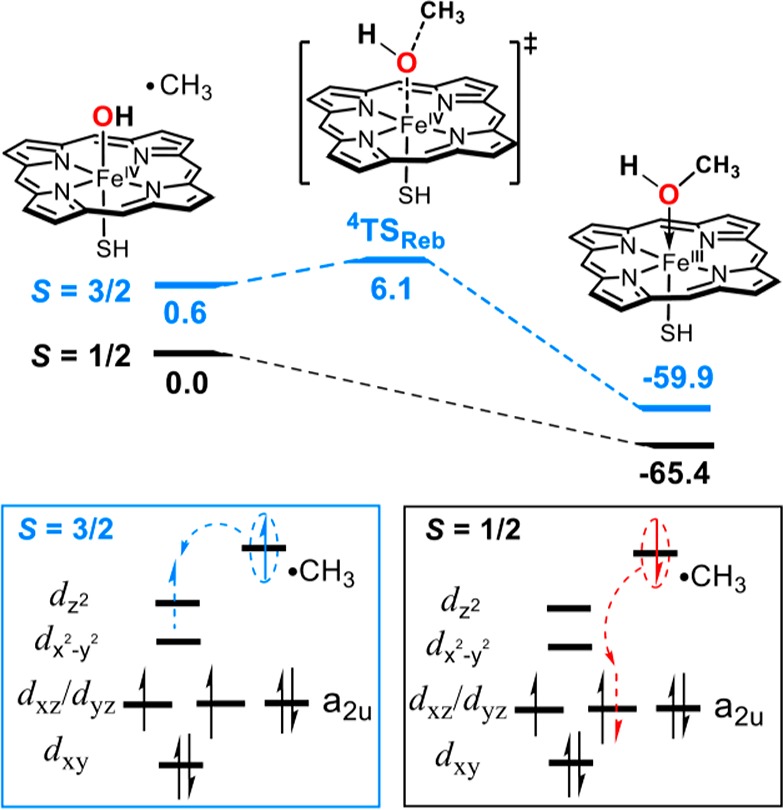 Figure 36