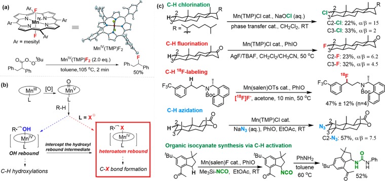 Figure 43