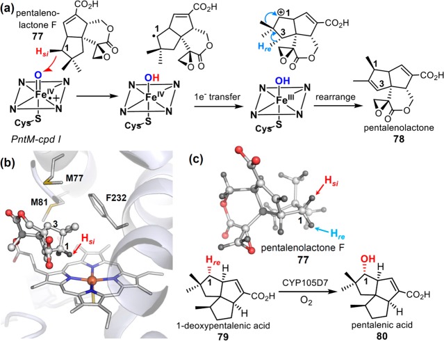 Figure 42