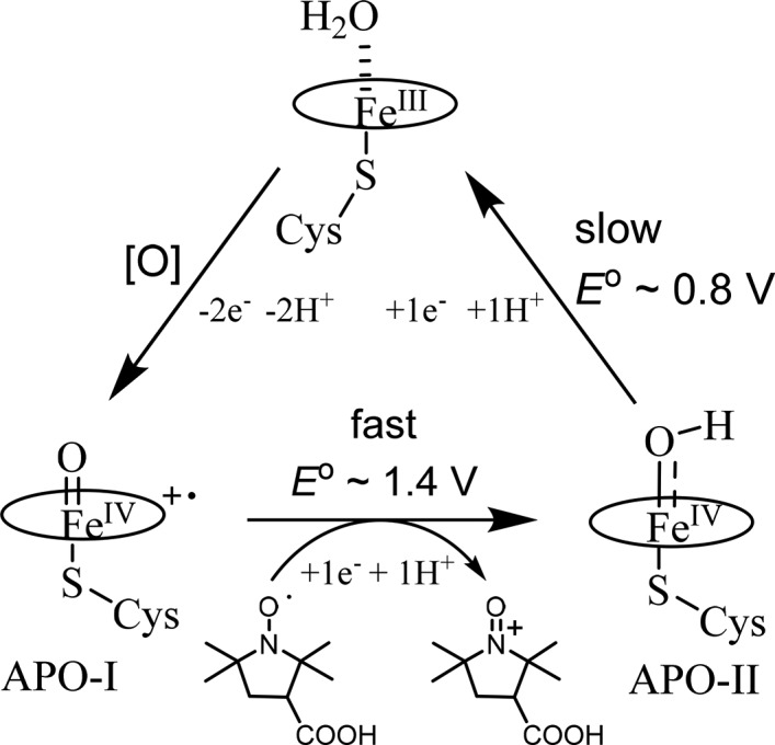 Figure 28