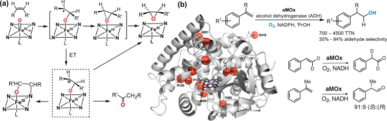 Figure 45