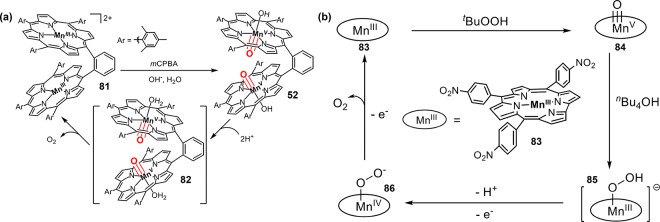 Figure 48